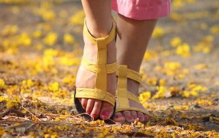 Patologias Circulatorias